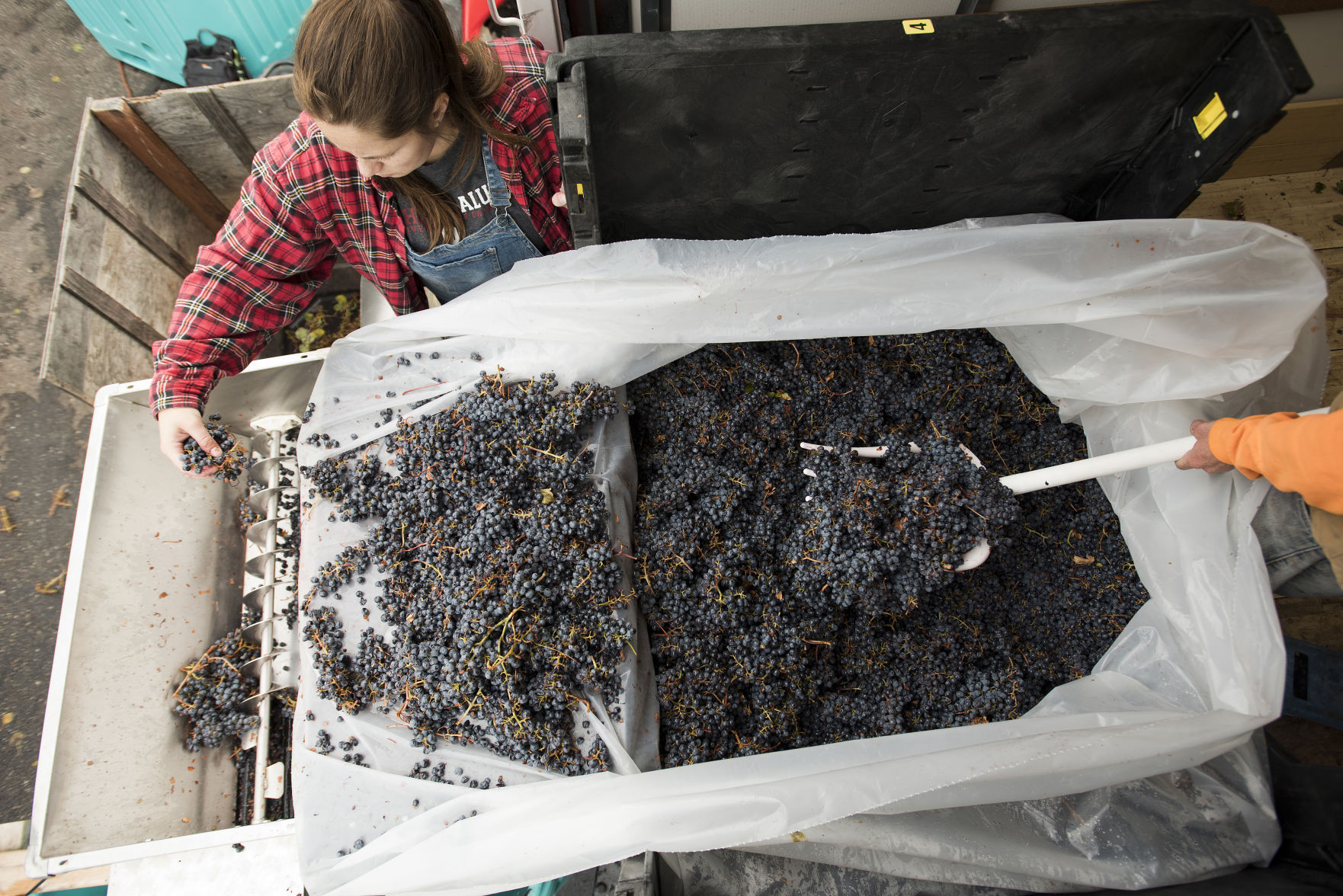 Jackson Hole Winery